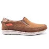 FLUCHOS F2001 VISON