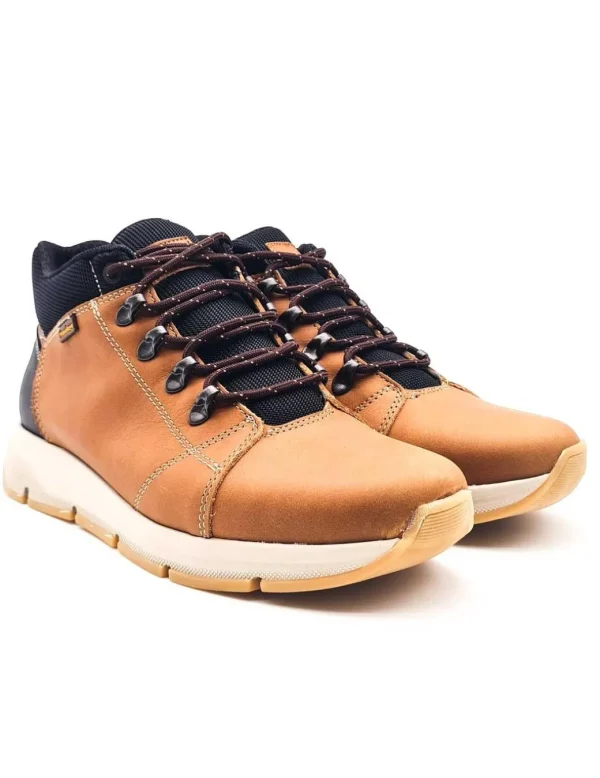 HIMALAYA 3100 CAMEL