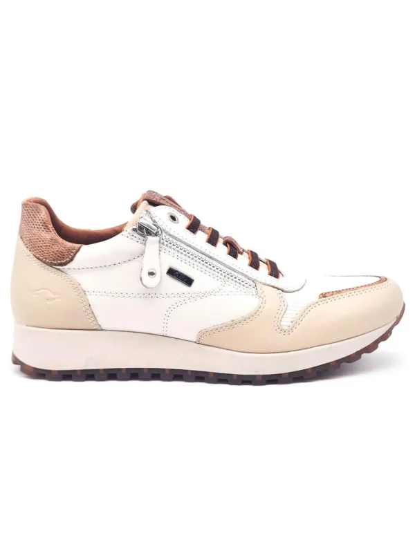 KANGAROOS 681 CREMA BEIGE