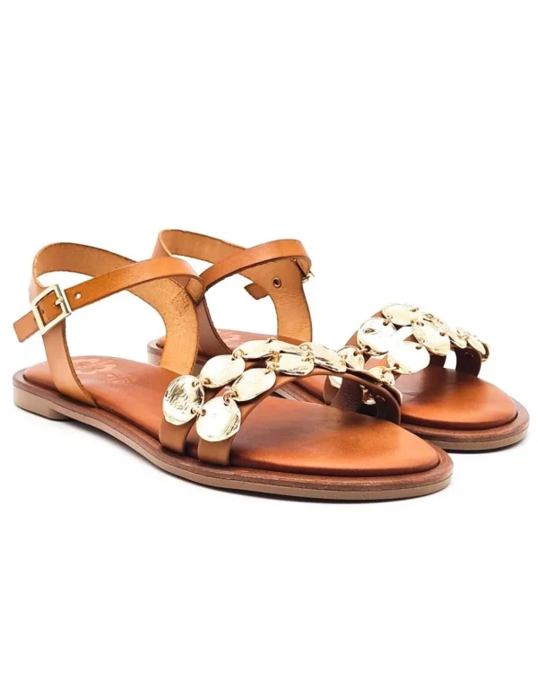 PORRONET 2819 AVELLANA